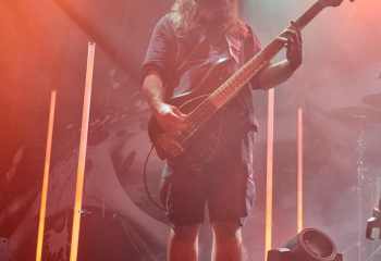 Frog Leap - Photo By Peti