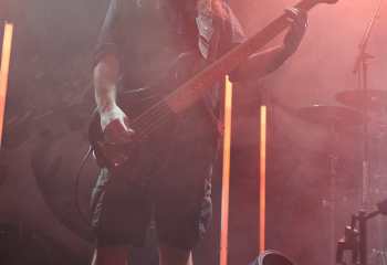 Frog Leap - Photo By Peti