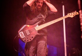 Frog Leap - Photo By Peti