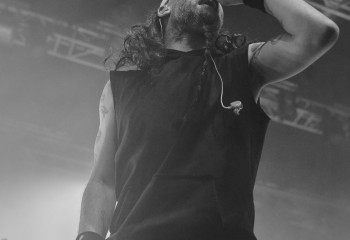 Frog Leap - Photo By Peti