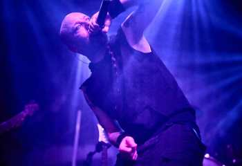 Frog Leap - Photo By Peti