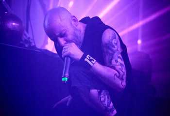 Frog Leap - Photo By Peti