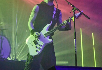 Frog Leap - Photo By Peti