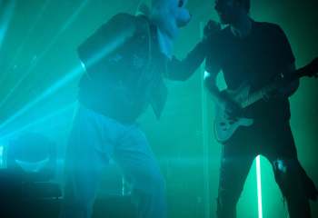 Frog Leap - Photo By Peti