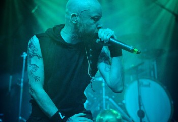 Frog Leap - Photo By Peti