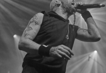 Frog Leap - Photo By Peti