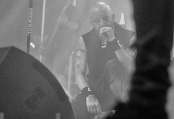 Frog Leap - Photo By Peti