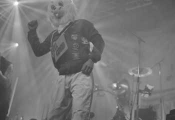 Frog Leap - Photo By Peti