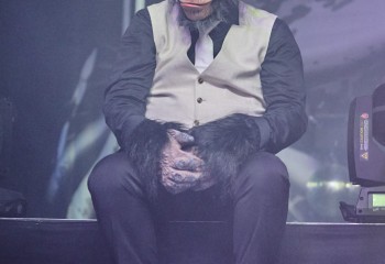 Frog Leap - Photo By Peti