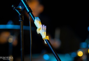 Glista - Photo by Natalie