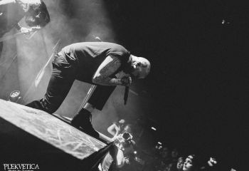 Great American Ghost  - Photo by Tuomas