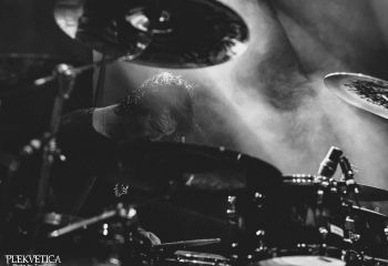 Great American Ghost  - Photo by Tuomas