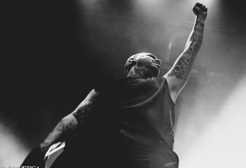 Great American Ghost  - Photo by Tuomas