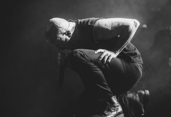 Great American Ghost  - Photo by Tuomas