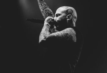 Great American Ghost  - Photo by Tuomas