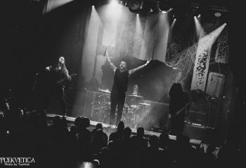 Great American Ghost  - Photo by Tuomas