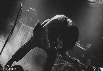 Great American Ghost  - Photo by Tuomas
