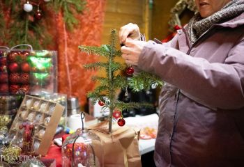 Grotesquerie - Photo by Natalie