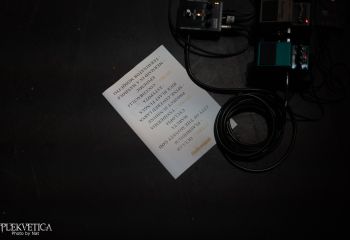 Guineapig - Photo by Natalie