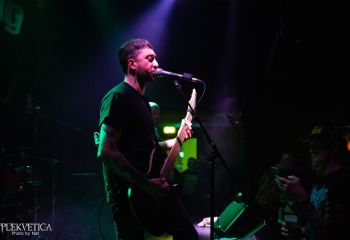 Guineapig - Photo by Natalie