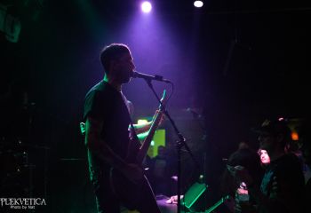 Guineapig - Photo by Natalie