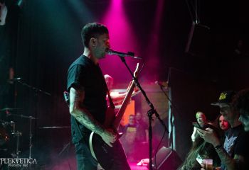 Guineapig - Photo by Natalie