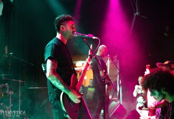 Guineapig - Photo by Natalie