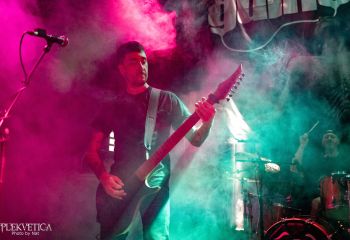 Guineapig - Photo by Natalie