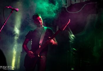 Guineapig - Photo by Natalie