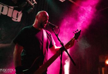 Guineapig - Photo by Natalie