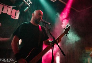 Guineapig - Photo by Natalie