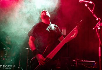 Guineapig - Photo by Natalie