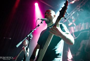 Guineapig - Photo by Natalie