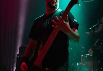 Guineapig - Photo by Natalie