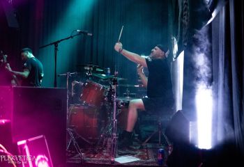 Guineapig - Photo by Natalie