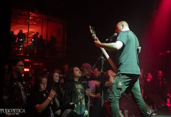 Guineapig - Photo by Natalie