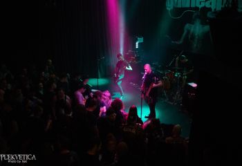 Guineapig - Photo by Natalie