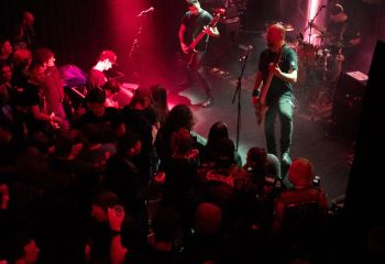 Guineapig - Photo by Natalie