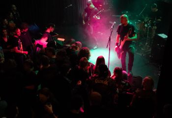 Guineapig - Photo by Natalie