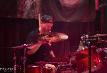 Guineapig - Photo by Natalie