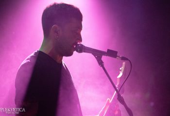 Guineapig - Photo by Natalie