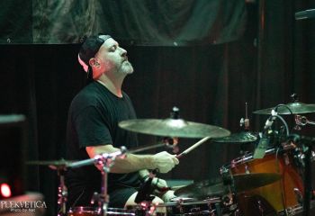 Guineapig - Photo by Natalie