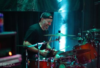 Guineapig - Photo by Natalie