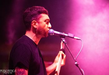 Guineapig - Photo by Natalie