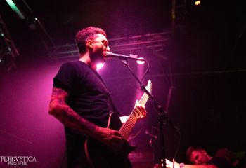 Guineapig - Photo by Natalie