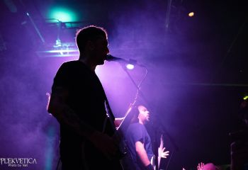 Guineapig - Photo by Natalie