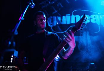 Guineapig - Photo by Natalie