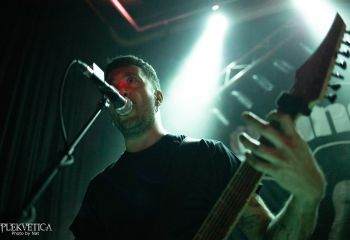 Guineapig - Photo by Natalie