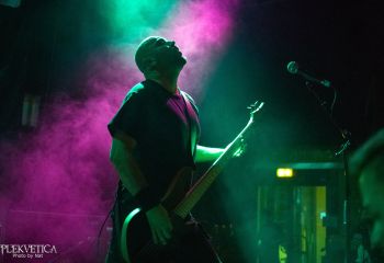 Guineapig - Photo by Natalie