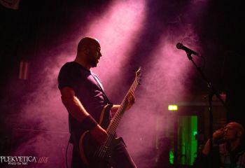 Guineapig - Photo by Natalie